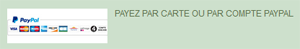 procédure de paiement par carte banquaire  sans compte paypal